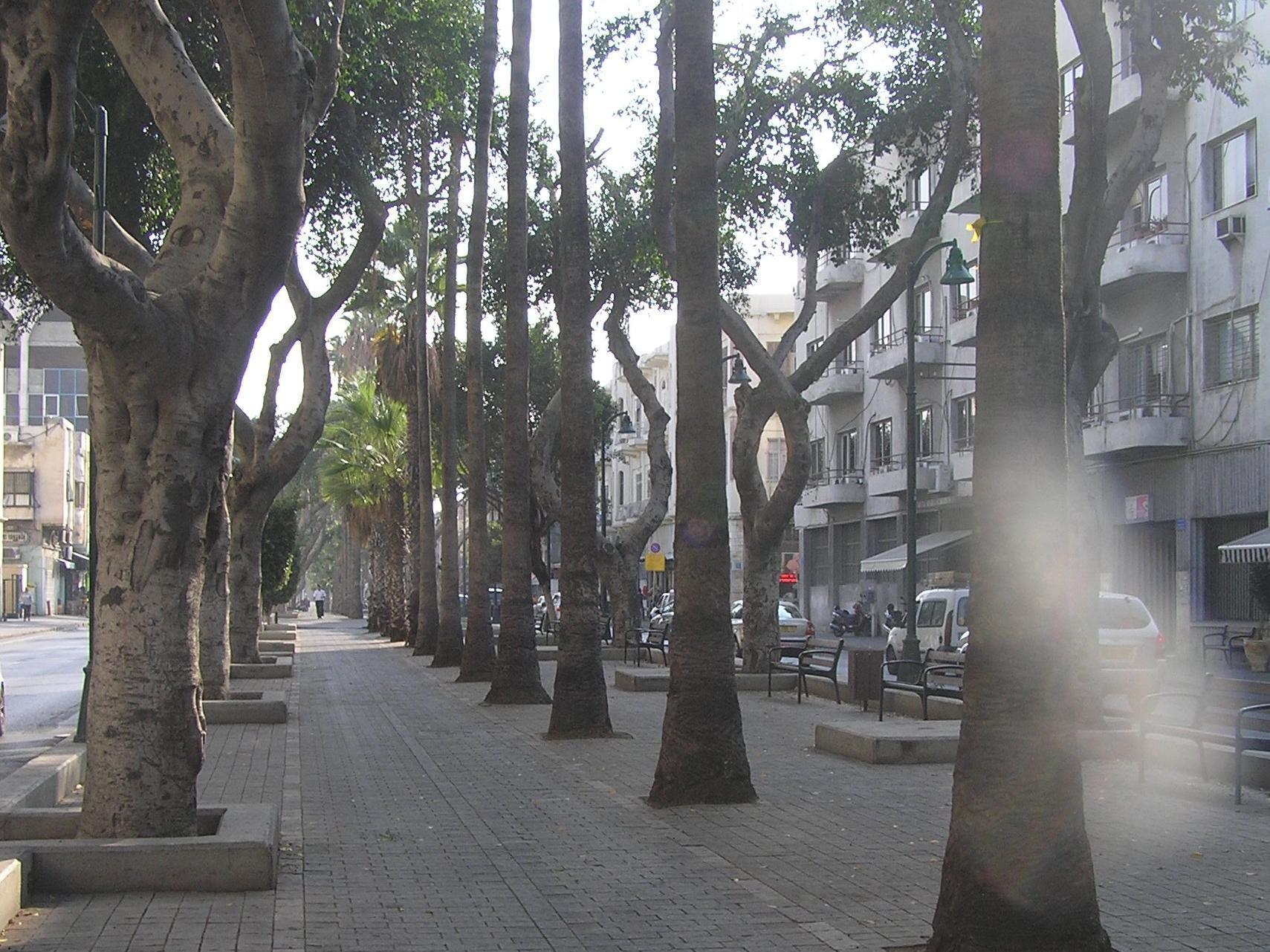 Milk & Honey Hostel Tel-Aviv Kültér fotó